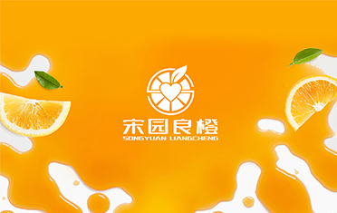某良橙——黑河LOGO设计
